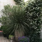 La Maison Du Palmier La Rochelle (Charente-Maritime)